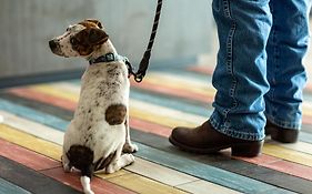 Motel 6-Cedar Rapids, Ia